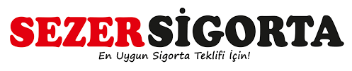 Şirket 1